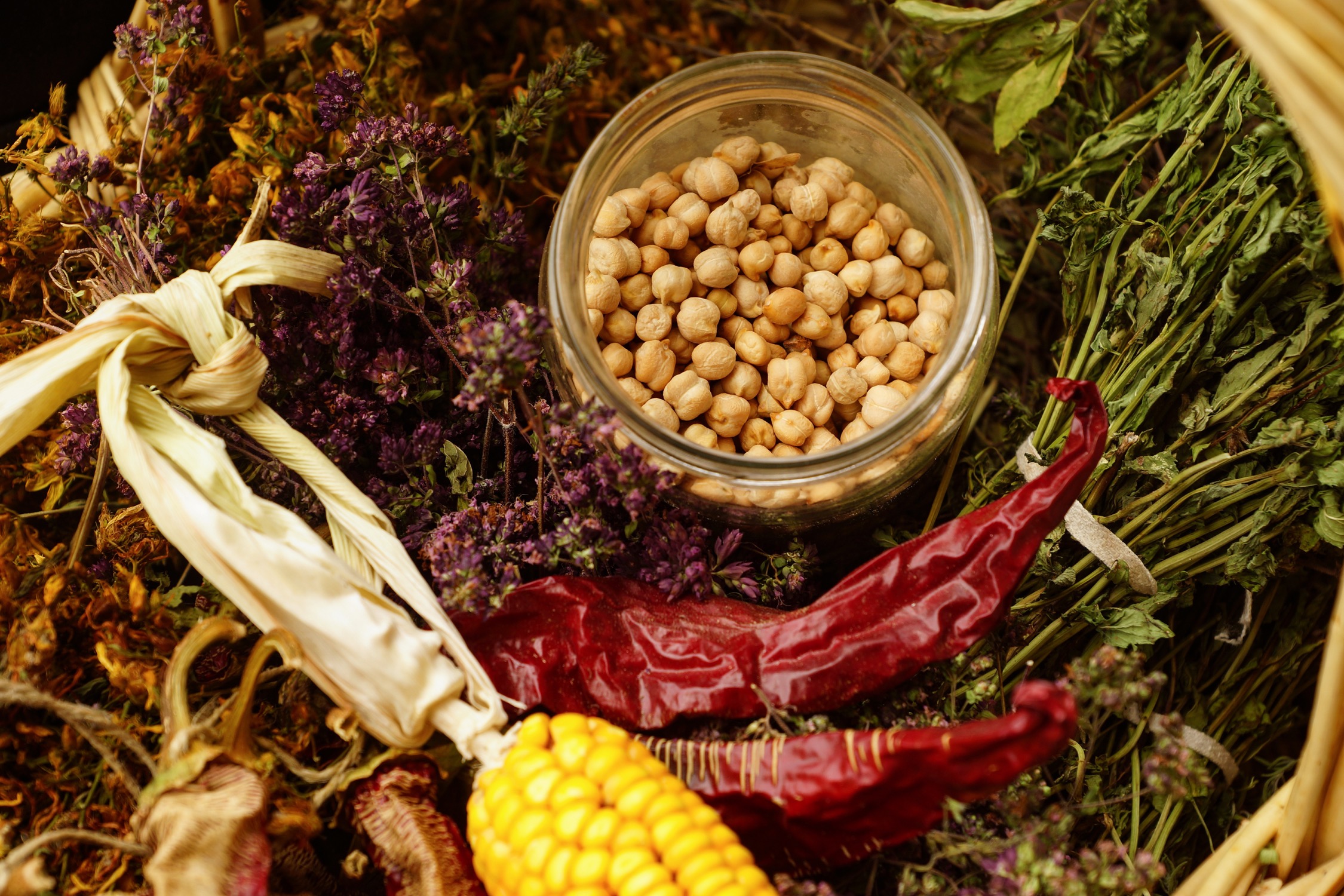 1.1 Biodiverzitet_resize